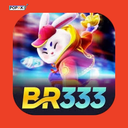 Logotipo br333